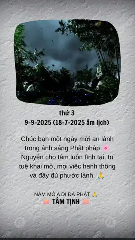 Chúc bạn một ngày mới an lành trong ánh sáng Phật pháp 🌸 Nguyện cho tâm luôn tĩnh tại, trí tuệ khai mở, mọi việc hanh thông và đầy đủ phước lành. 🙏 #tamtinh #phatgiao #phatphap #nammoadidaphat #phatphapnhiemmau 