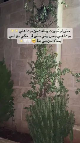 أهلي🥺🤍🤍