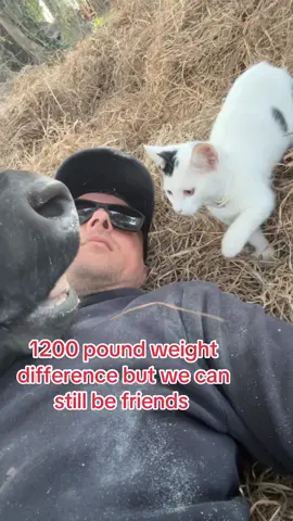 #fyp #fypシ #fypシ゚viral #fyppppppppppppppppppppppp #farm 