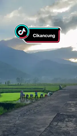 Suasana di pagi hari ketika ibu ibu bersiap untuk tandur 😍  Yang banyak request kemarin 😩  #garut #garutvibes #garutpride🔥 #infogarut #disparbudgarut 