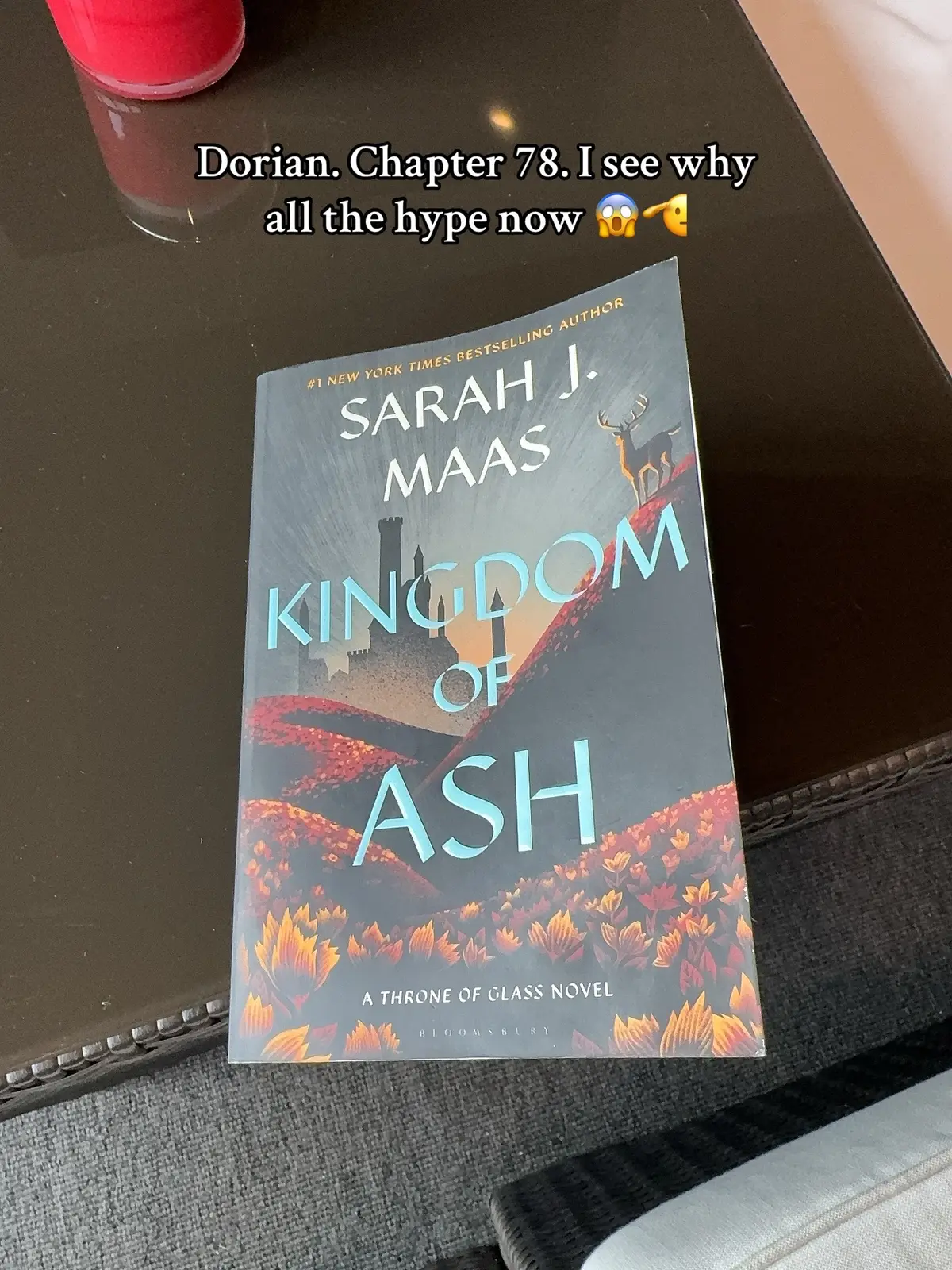 Just wow #throneofglassseries #dorianhavilliard #BookTok #fyp 