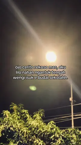 #4u #fyp #bismilahfyp #budalnyopir 