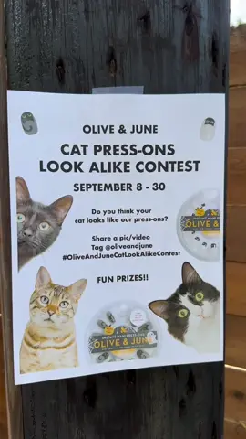 Think your cat could be the twin of our cat press-ons? We want to see! 🐾💅  How to enter: 1️⃣ Post a photo of your cat to Instagram or TikTok 2️⃣ Tag and follow: @oliveandjune @bestfriendsanimalsociety @thelitterrobot 3️⃣ Use the hashtag: #OliveAndJuneCatLookAlikeContest One lucky winner will get the entire Olive & June Halloween collection and the ultimate cat prize pack including a @thelitterrobot. Can’t wait to see photos of your cats! 🐈‍⬛🐱 **No purchase necessary to enter. US residents only. The giveaway ends 9/30/2025 at 11:59 PM PT. To enter this giveaway, you must be 21 years and older. Must be within the contiguous USA to win. One winner will be randomly selected and contacted via this account. Every comment counts as a new entry. By entering, you acknowledge that this giveaway is in no way sponsored, endorsed by, or associated with Instagram, and you release Instagram of all responsibility. Winners will be randomly selected and notified via DM by ONLY the official @oliveandjune