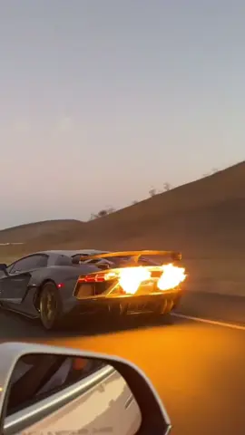 Rentals are now opened available to hire exotic cars at 25+ age requirement  #Supercars #fyp #LuxuryCars #rental #rentingcar 
