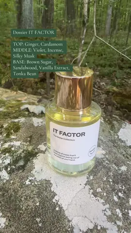 Summer to Fall Transition!! @Dossier Perfume #newarrivalssurge #tiktokshopcreatorpicks #tiktokshopblackfriday 