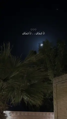 انا شفتك حقيقه وابتدى عمري 😔♥️