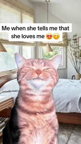 #memestiktok #relatable #funnytiktok #memeoftheday #loveyou 
