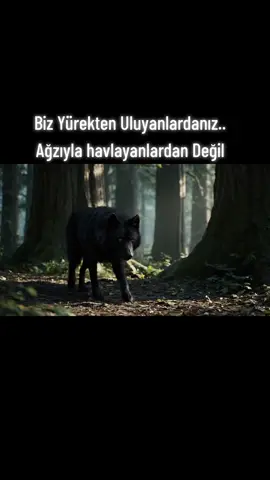 #vatan #kurt #türkiye 
