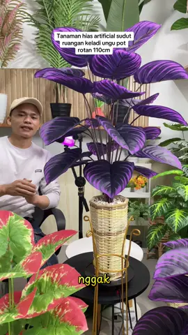 Tanaman hias artificial sudut ruangan keladi ungu pot rotan #tanamanartificial #tanamansudutruangtamu #tanamanhias #tanamanplastik #keladi 