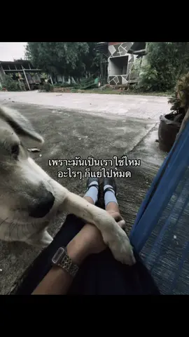 #เธรดเศร้า #เธรดความรู้สึก #ฟีดดดシ #☹️ ##😭💔 