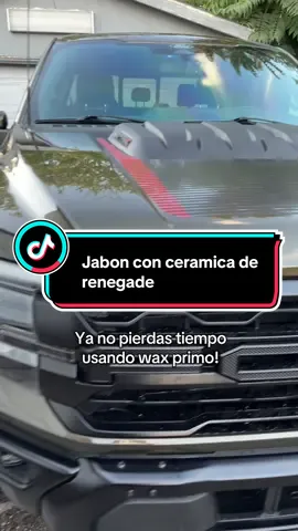Esta la mejor manera y mas facil de de protejer la pintura de tu mamalona! 🔥 #renegadeproductsusa #ceramiccoating #ceramicspraycoating #carwash #paintprotection 