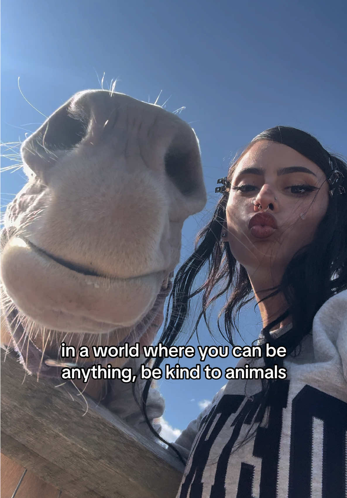 Animals was my first ever love 🫶🏻✨ #bekind #animals #fyp #explore #horse 