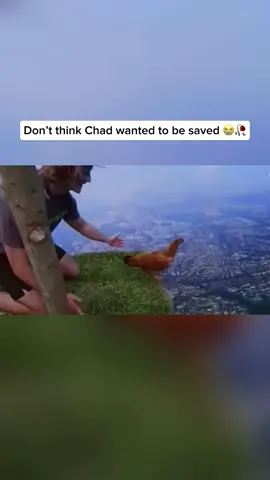 Rip to Chad 🪦🥀  #sky #chicken #Minecraft #live #fly 