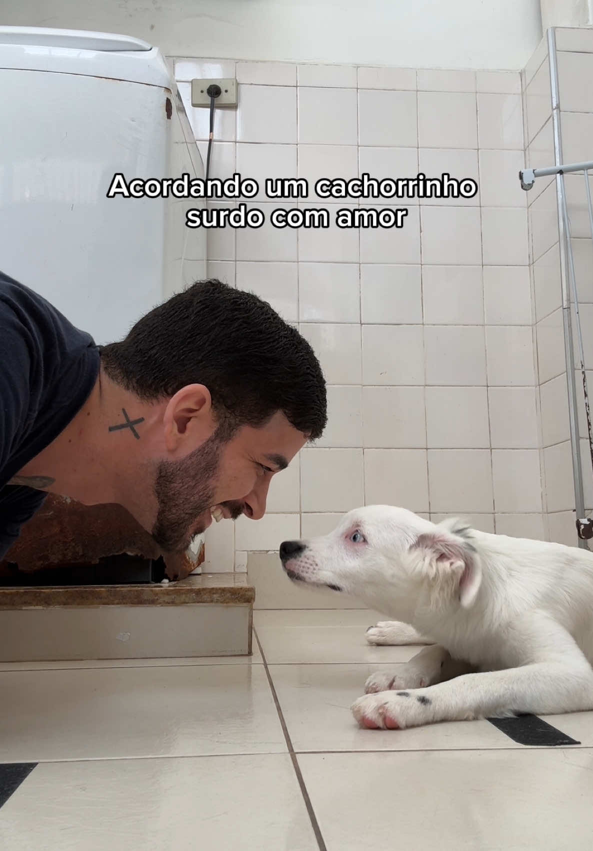 Um soprinho leve no nariz… Esse foi o jeito mais gentil que a gente encontrou pra acordar ele 🥰 Cotton ❤️ #animaisresgatados #cachorrosdotiktok #cachorrosfofinhos #filhotesdecachorro 