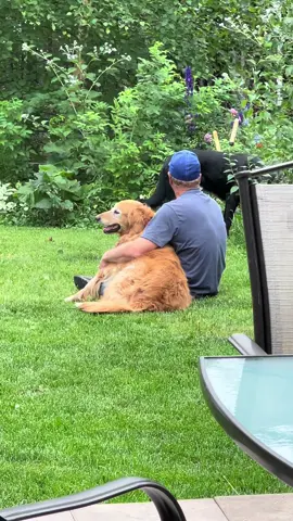 Seeing the moments he quietly loved on her makes me love him even more. We miss you Syd. #dogdad #goldenretriever #seniordog #dogsoftiktok #petloss 