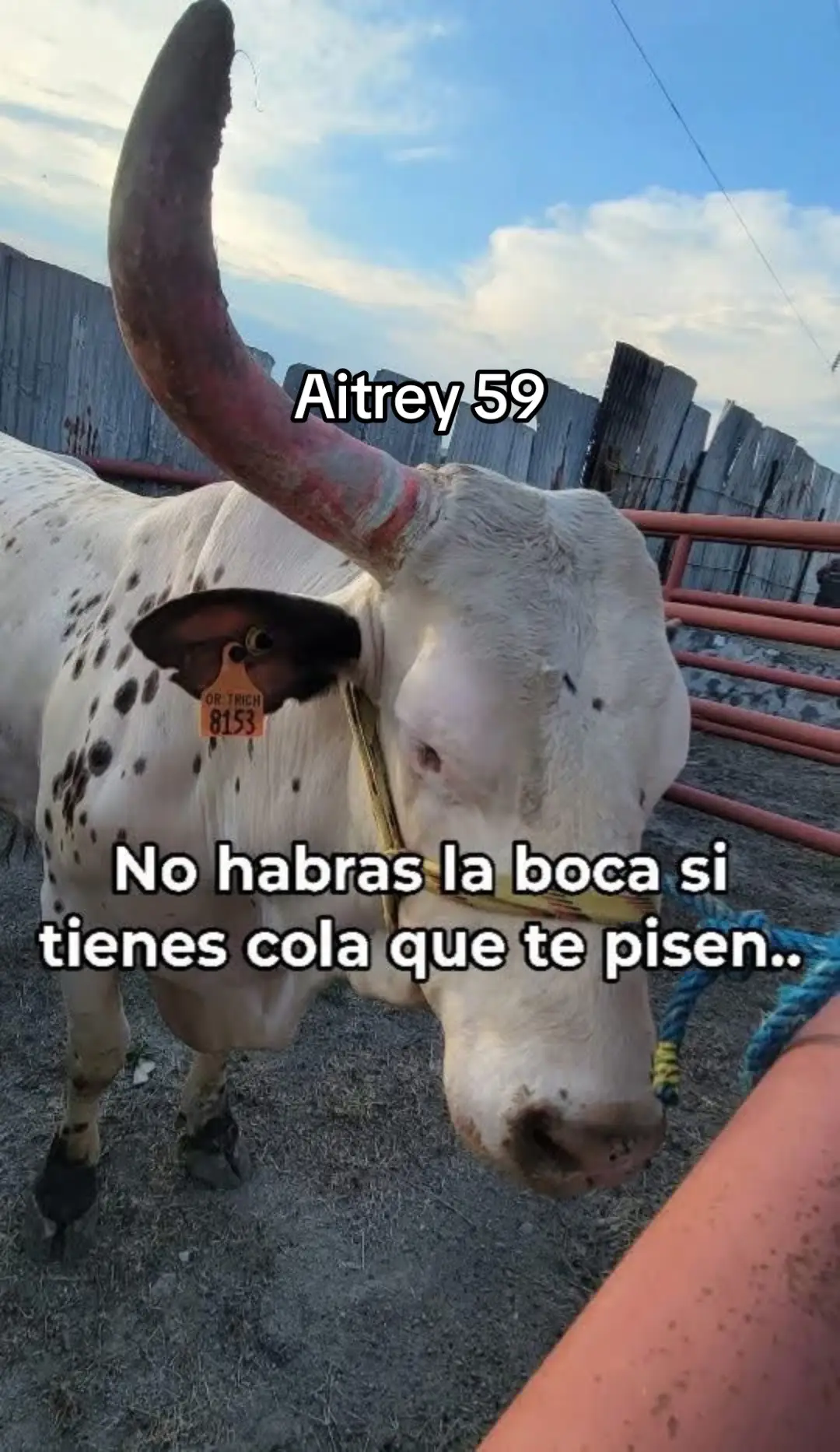 Literalmente primero mira tu paja y después mira la de los demás ✍️😂😂😂😂