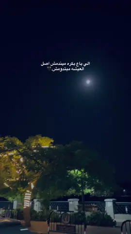 #عصام_صاصا 