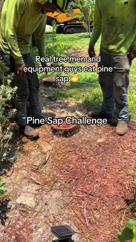 Have yall ever tried it before? Don’t knock it lol #fyp #tree #removal #tryit #fyp 