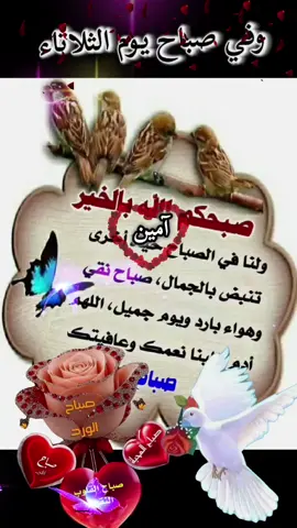 #صباحكم_معطر_بذكر_الله💚🌹🌿🌷😍🌸🙏 #صباحكم_أحلى_صباح🌹🌹 #صباح_الخير #🤲🤲🕋🕋🤲🤲 