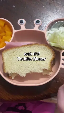 #fyp #toddlermealideas #toddlerdinner #toddlerdinnerideas 