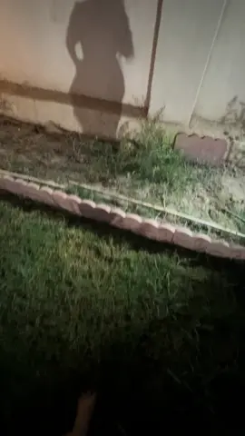 دعاء التميمي
