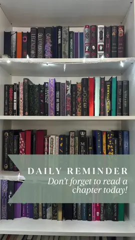 What book are you going to read (at least) a chapter in today?? I started Silver Elite yesterday and will get close to wrapping it up tonight I think!  Have you read Silver Elite? Let’s chat about it! #AChapterADay #Shelfie #Fantasy #Romantasy #SilverElite 