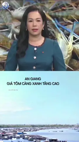 #tinthuysan #angiang #giatom #tiktoknew #xh