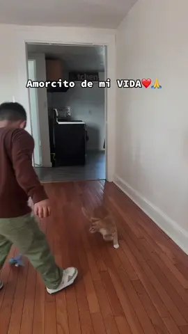 ❤️🙏