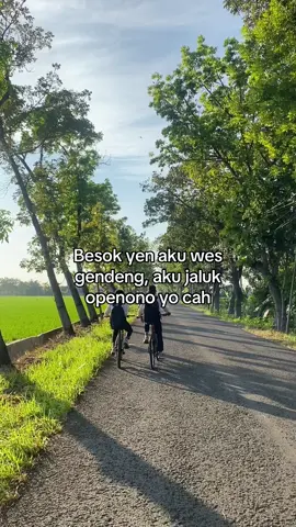 Sirahe ngajak mlaku #katakatamotivasi #quotesmotivasi #videoquotes #indonesiabubar 