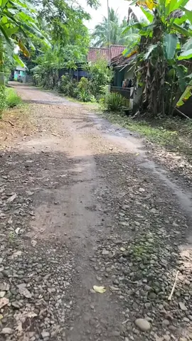 Barade jalan butut Kepala desa na duka kamana?  Camat na duka kamana?  Bupati na duka kamana?  Lokasi suka asih  Desa pada ringan Kec. Purwadadi Kab. Ciamis Tepatnya pebatasan desa pada ringan dengan kota Banjar Hayu viral keun.... #dedimulyadi  #herdiatsunarya  #kabupatenciamis 