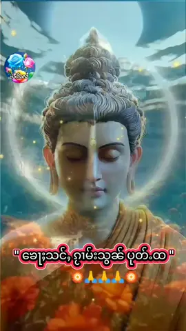 #🏵️🙏🙏🏵️ # #ၵုႉသူဝ်ႇႁႂ်ႈလႆႈၽဵင်ႇပဵင်းၵၼ်ၵူႈၵေႃႉၶႃႈ #🏵️🙏🙏🏵️ 