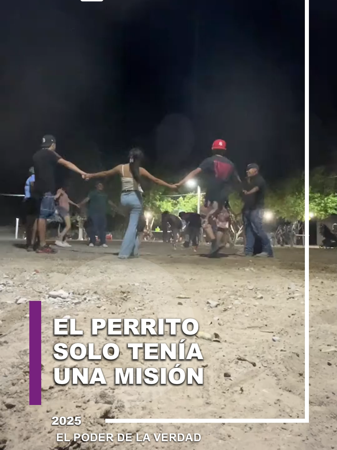 🐶📸 El perrito solo tenía una misión😅 #humorcanino #amorporlosanimales #perritos #misióncumplida #perrito