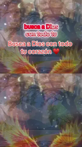 Busca a #Dios con todo #tu #Corazon para entrar en el todo lo el alma anhela #ticktock #creatorsearchinsights 