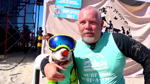 Dogs surf in California to support local animal shelter