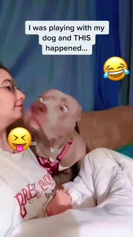 Please don’t bark at your 🐕 UNLESS YOU VIDEO IT 🤣🤣🤣🤣🤣🤣🤣🤣🤣🤣🤣🤣🤣🤣🤣 #ripmom #walkemlikadawg 
