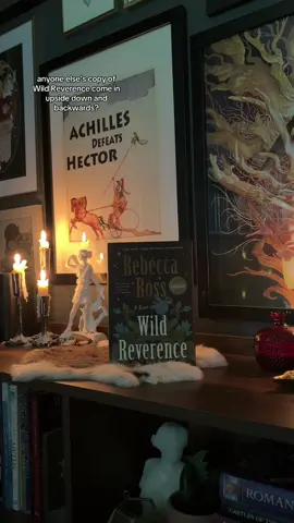 super excited about this book even though I'm not a *huge* romantasy girl 🤍✨ #bookrecs #wildreverence #rebeccaross #fantasybooks 