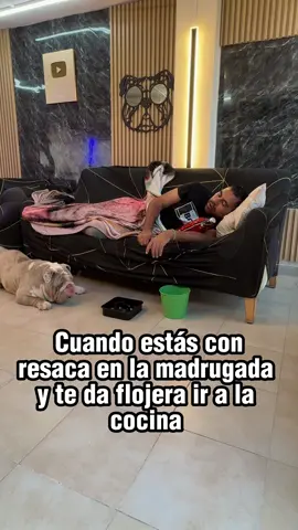 Yo con resaca a las 3 am 🥴👉 tomando agua del bote de Polar 🐶😂 #polar #perrodexavi #pets 