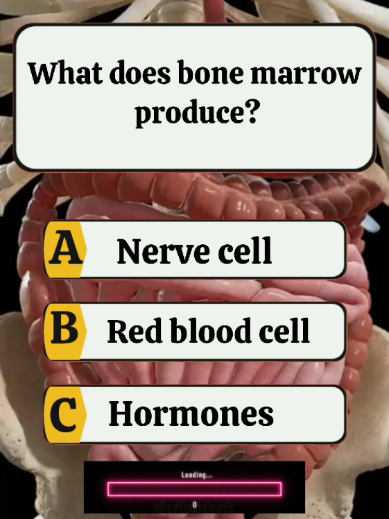 #quizcreatorsearchinsights ##generalknowledgequestionsandanswers #knowledgeispower #gkquiz #generalknowledge 