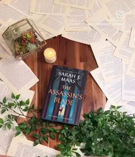 Let's take a moment to talk about Aelin Ashryver Whitethorn Galathynius. The most bad ass FMC in town. This queen lives up to the hype of her character and I don't think there will ever be a female character that will trump the place she has in my heart. If you have not but want to dive in to the world of ToG I urge you to clear your schedule for the next year because these beasts will take some time. But they are so worth it. The overall storyline and connections is an absolute wild ride. And it is a reading accomplishment you should be proud of. t To those that have read it, let's take a poll - Assassin's Blade first or third?#BookTok #bookstagram #throneofglass #reader #fyp 