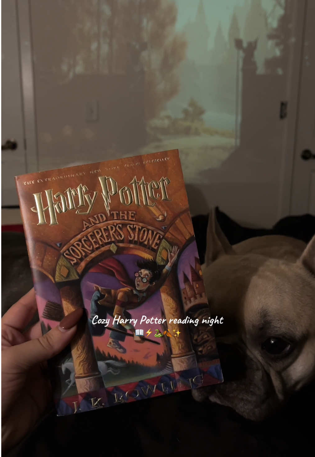 A cozy night reading Harry Potter! I am so excited to re-read this!! ⚡️🐍📖🍂✨ @Harry Potter @Bath & Body Works @HARIBO #harrypotter #harrypotteraesthetic #readingaesthetic #cozytok #harrypottertiktok 