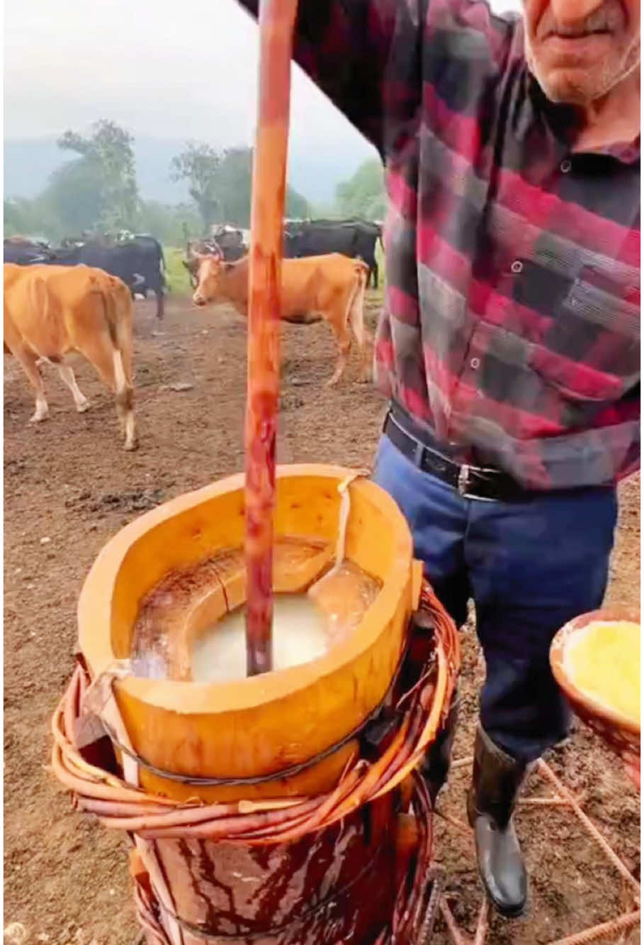 “Traditional butter-making in Iran ”🧈🇮🇷🥛 #FYP #Iran #TraditionalFood #ButterMaking #Heritage