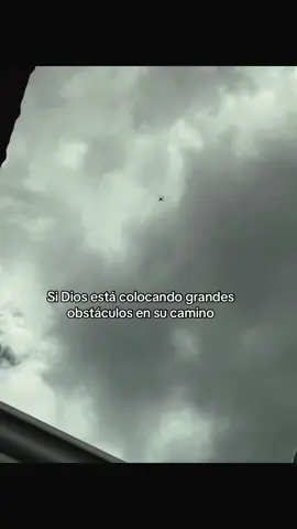 #bondia🇧🇷🗣️#xzybcaシ 