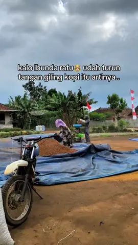 tetep aja duitnya dikasih lagi ke bunda ratu🔥😂🤣 #petanikopi #lampungbarat #kopilampung 