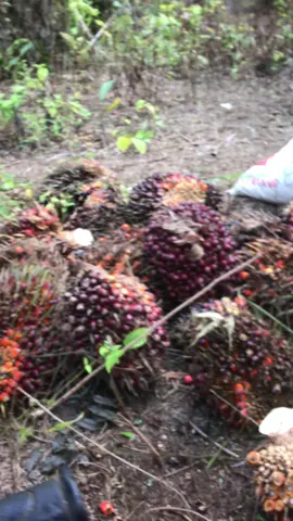 kau orang kaya,aku orang tak punya🥲 