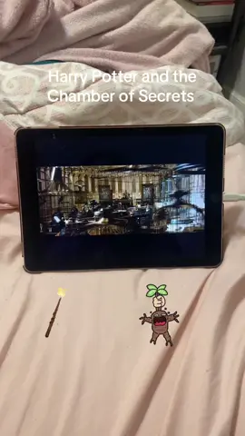 Harry Potter and the Chamber of Secrets on HBOmax. I am now watching the second Harry Potter movie.#kpop #hbomax #blackpink #harrypotterandthechamberofsecrets #howyoulikethat 