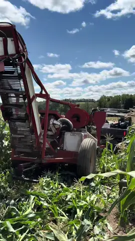 Tried out my toy today . Worked great prolly get a wagon next time #farmtok #farm #farmlife #corn