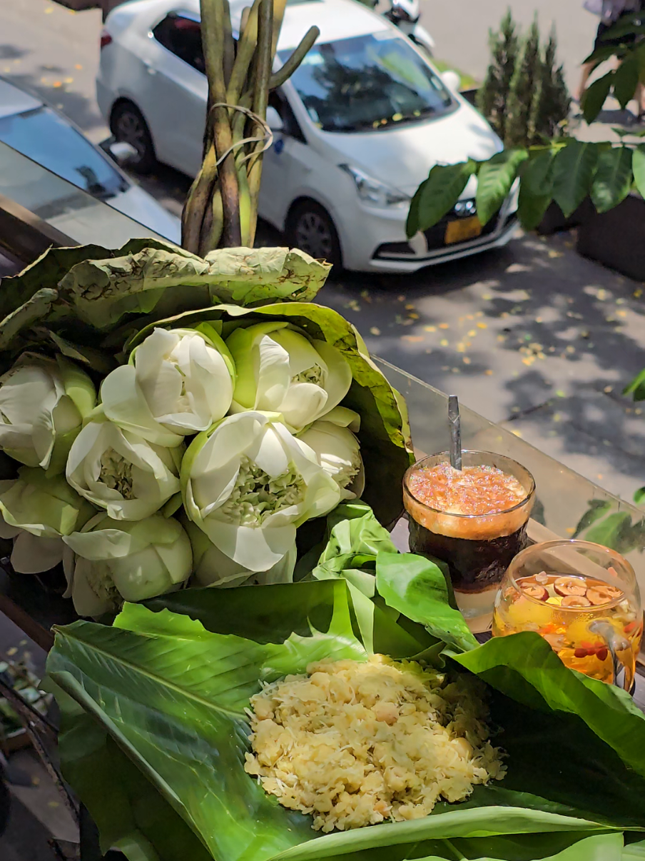 Hà Nội mùa này đi đâu cũng thấy đẹp #muathuhanoi #hanoi  #fyp #chilcungforest 