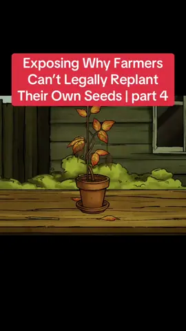 Exposing Why Farmers Can’t Legally Replant Their Own Seeds | part 4