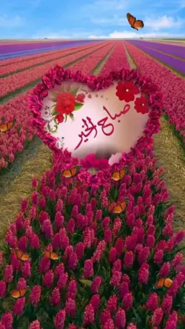 صباح الخير#