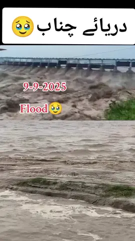 dariya Ravi🌊🥹 flood Pakistan 🇵🇰 city kasur #foryou #foryoupage #fyp #قصور #trending @TikTok @You @TiktokPakistanOfficial 